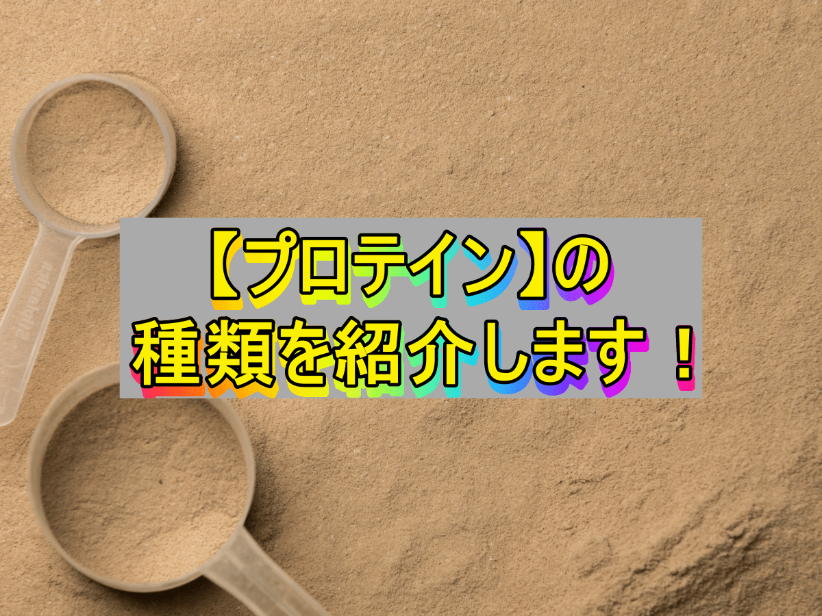 【プロテイン】の種類を紹介します!