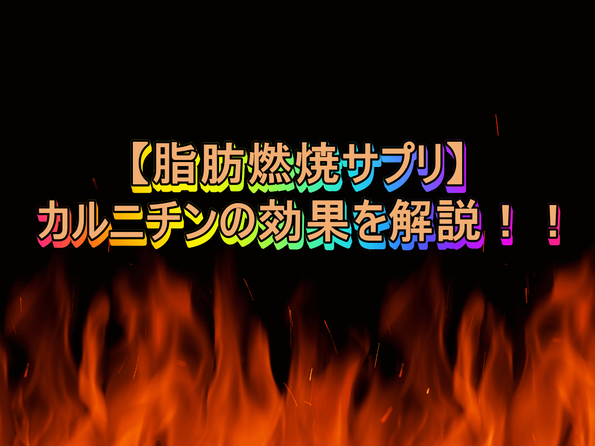 【脂肪燃焼サプリ】カルニチンの効果を解説!!