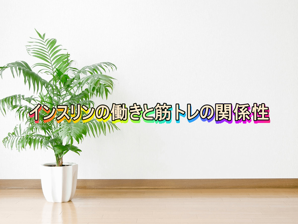 インスリンの働きと筋トレの関係性