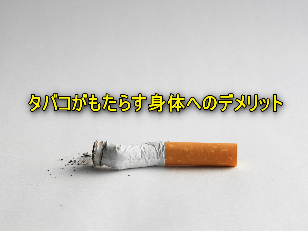 【筋トレ】タバコがもたらす身体へのデメリット