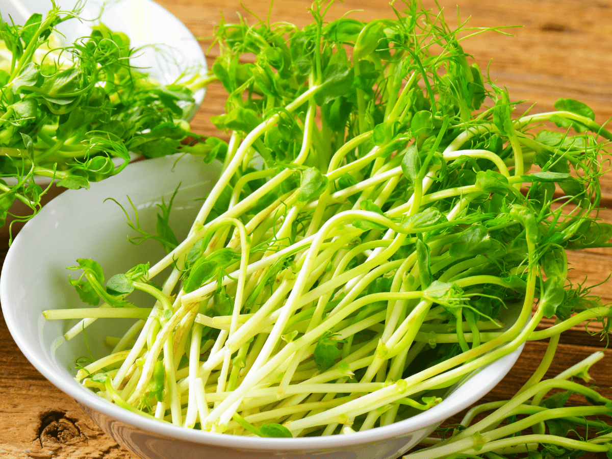 【コスパ最強野菜】　豆苗のダイエット効果について