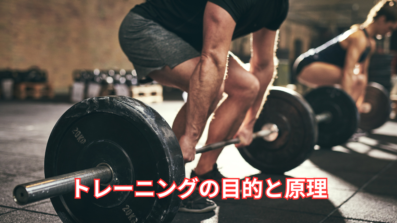 【トレーニングの目的と3原理】本質的かつ究極の目的