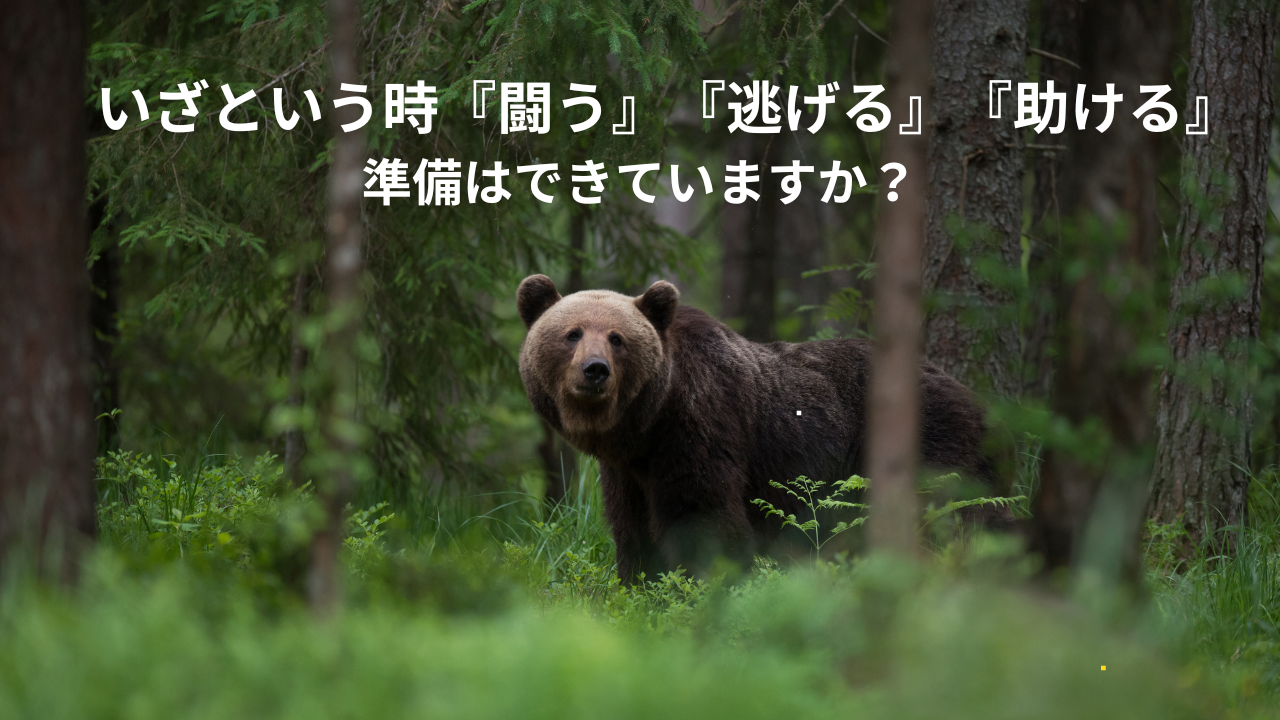 全国で急増する熊被害。いざという時、『闘う』『逃げる』『助ける』準備できていますか?