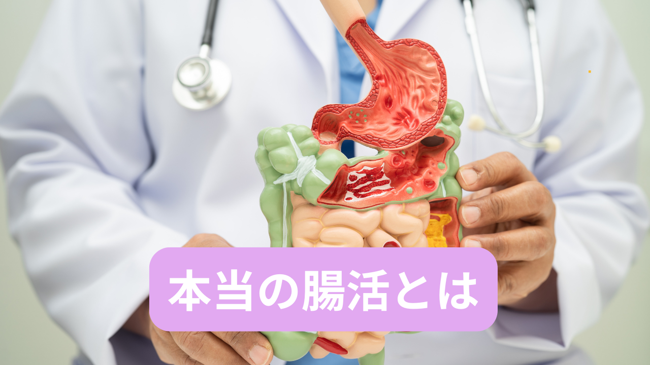 【本当の腸活教えます】